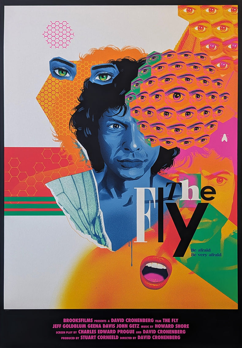 FLY, THE (regular) by Doaly