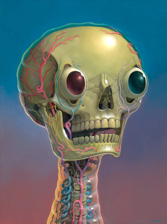 JELLY SKELLY by Charlie Immer