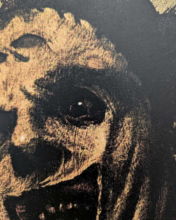 TEXAS CHAIN SAW MASSACRE, THE (Italian variant) by Richard Hilliard