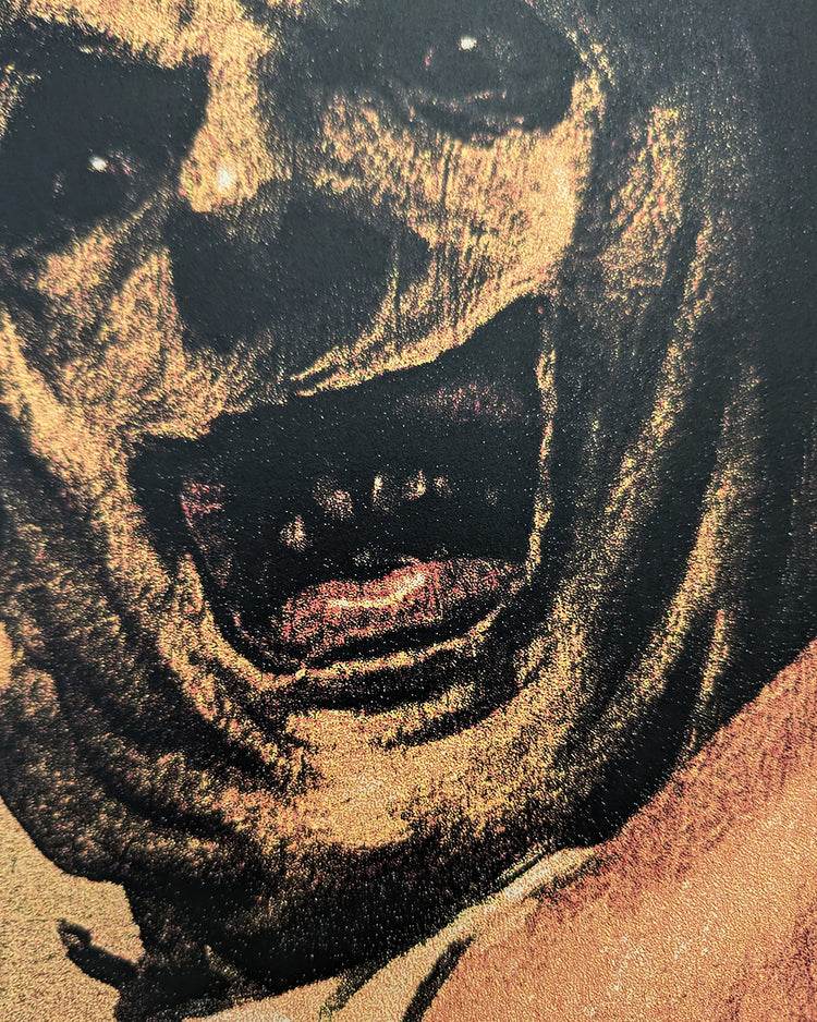 TEXAS CHAIN SAW MASSACRE, THE (Italian variant) by Richard Hilliard