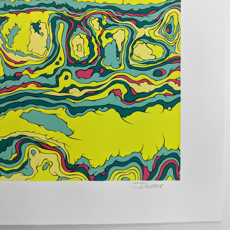 ANOMALOUS ORGANIZATION (regular) by J Dobbie