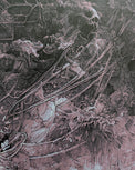 ANNIHILATION (regular) by Krzysztof DomaradzkiLimited edition screen print for Alex Garland's Annihilation, created by artist Krzysztof Domaradzki. This movie poster is a collectible art print produced using traditional silkscreen printing techniques. Pri