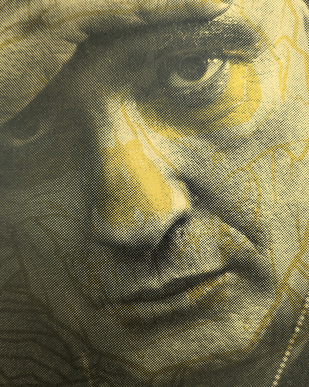APOCALYPSE NOW (regular) by Brian Ewing