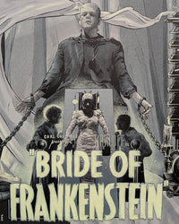 BRIDE OF FRANKENSTEIN (regular) by Vance Kelly
