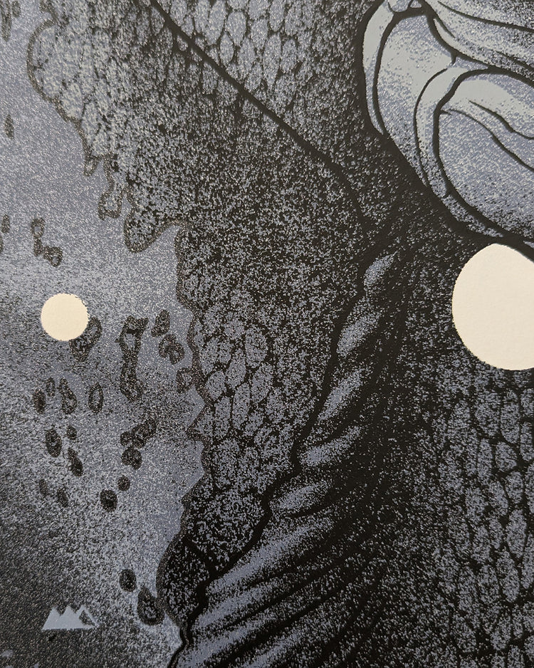 CREATURE FROM THE BLACK LAGOON (silver screen) by Martin Ansin