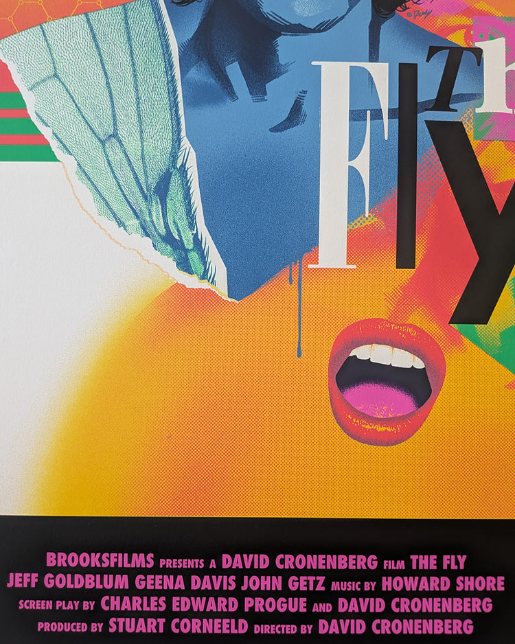 FLY, THE (regular) by Doaly
