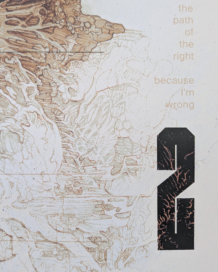 The Last of Us II by Krzysztof Domaradzki - Limited Edition Variant AMPLimited edition The Last of Us II screen print by Krzysztof Domaradzki. Hand-numbered 11-color silkscreen, variant edition of 90. 24x36 inches, mint.