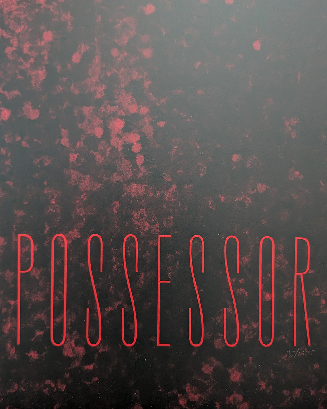 POSSESSOR by Akiko Stehrenberger