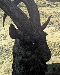 WITCH, THE (regular) by Landland (Jessica Seamans)