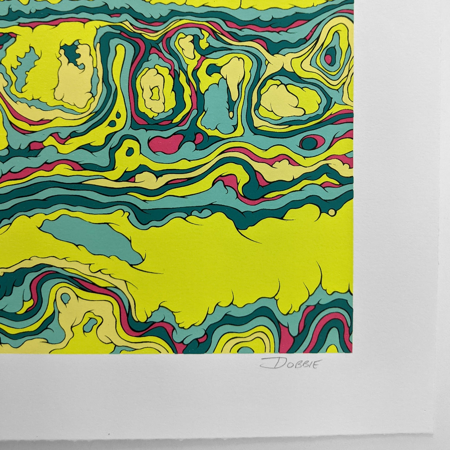 ANOMALOUS ORGANIZATION (regular) by J Dobbie