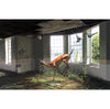 AFTERNOON OF A FAUN by Josh Keyes