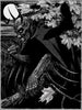 BATMAN by Brandon Holt