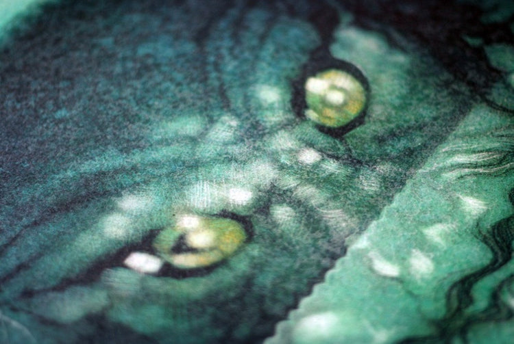 CREATURE FROM THE BLACK LAGOON by Drew Struzan