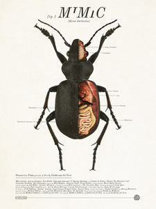 MIMIC by Jay Shaw (signed by Guillermo del Toro)