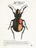 MIMIC by Jay Shaw (signed by Guillermo del Toro)